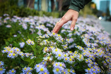 Autumn sensory garden trail