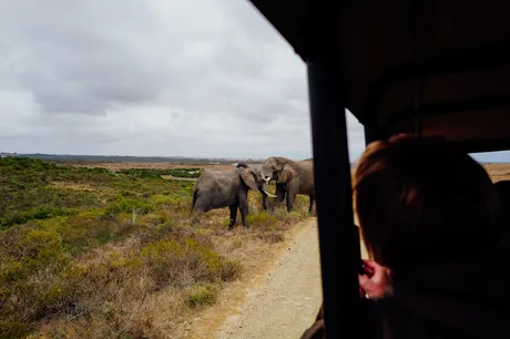 A Conservation Tour