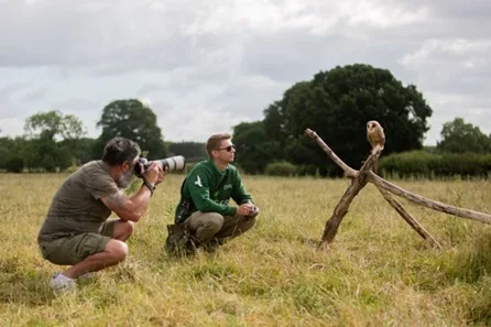 Bird of Prey Photography Experience at Mercer Falconry