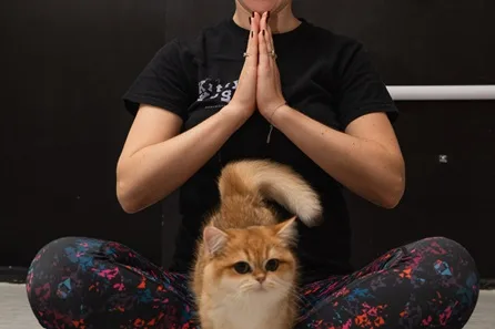 London Kitty Yoga Session with Play Time