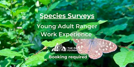 Bat Walk - Young Adult Ranger Work Experience at Alexandra Park