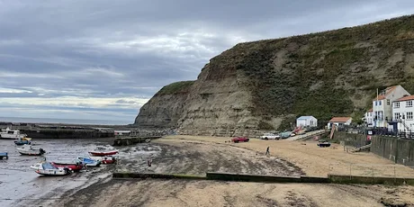 Staithes Rock & Fossil Safari