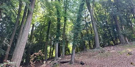 Keep Hill Woodland Working Day