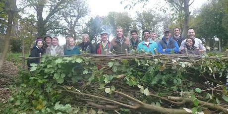 Introduction to Hedgelaying