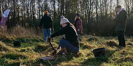 Citizen Forester Tree Planting at Kingsdown Fields Roots Allotments, Wigan