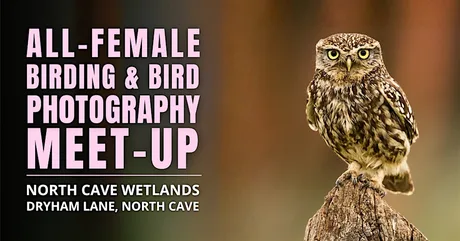 All- Female Birding & Bird Photography Morning