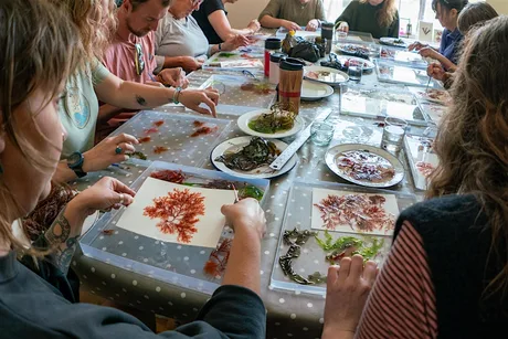 Seaweed Pressing with Molly Macleod