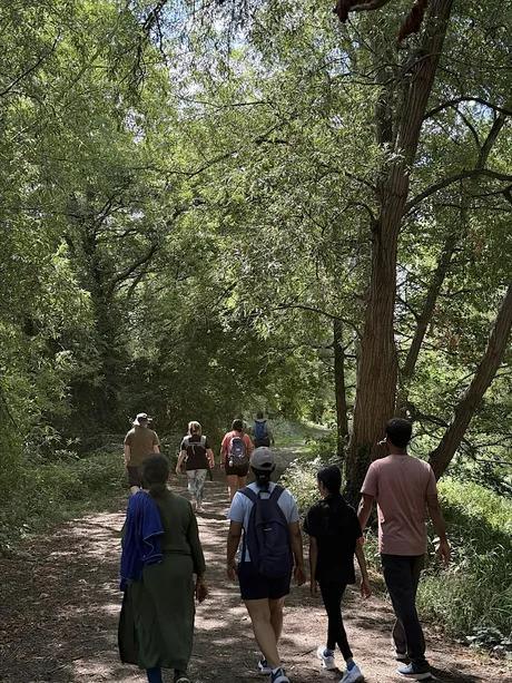 Green Walks (28/11) - Cooper's Hill Route B (Challenging)