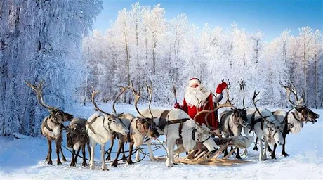 Lunch with Santa