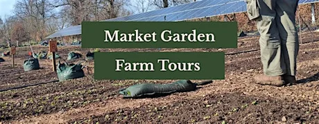Market Garden Farm Tour