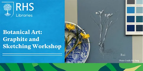 Lindley Late - Botanical Art: Graphite and Sketching Workshop
