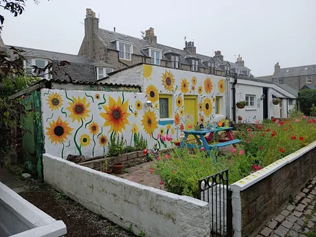 Old Harbour & Footdee Walking Tour