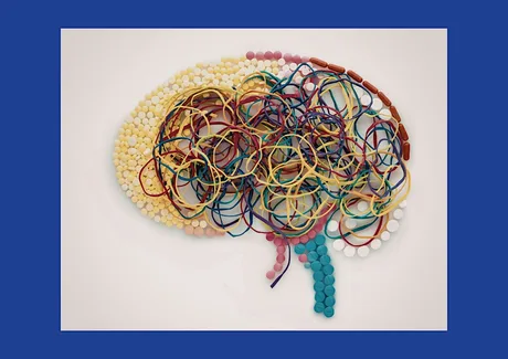 Annual Conference 2026 Complexity of Neural Function – the Brain in Charge