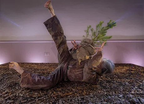 Finding Petunia Little Tree - Performance