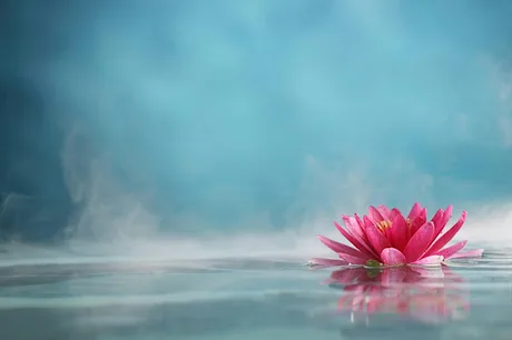 Free Sri Chinmoy Meditation Class in Cambridge