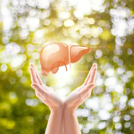 Liver Health with Emmie