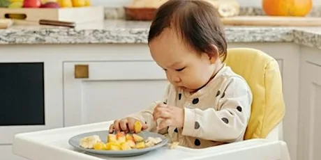 Introducing Solids Workshop (Thurs 8th Oct 2026) 1 - 2.30pm