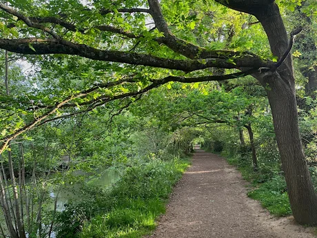 Walk Tonbridge Festival 2026: 'Women's Walk ' Haysden, and The Eden Valley