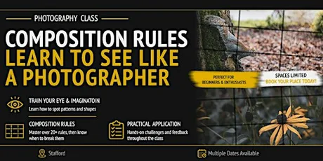 Compositions Rules: Learn to See Like a Photographer