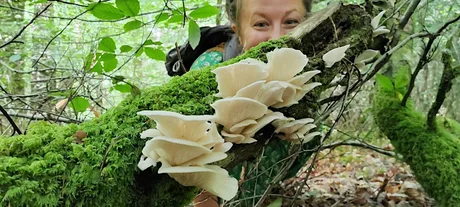 Fungi ID Walk - Monday Mornings Yarner Wood