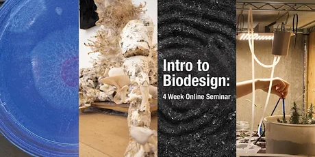 Intro to Biodesign ONLINE - September