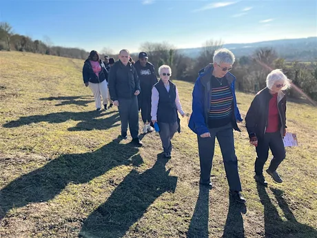 A Walk in the Park - Bradgers Hill