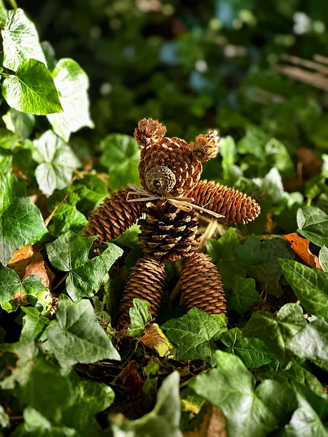 Bear Visits the Woods’ Stop Motion Workshop