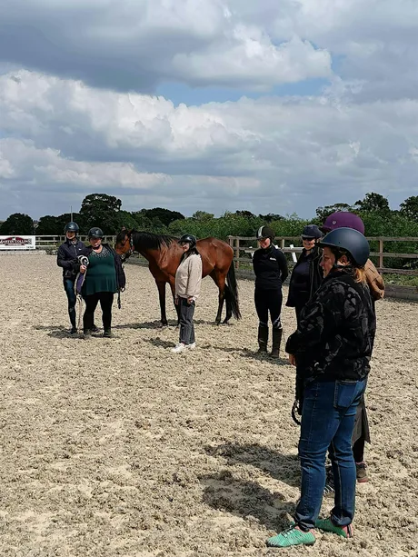 Strength and Learning Through Horses Introductory Training Day