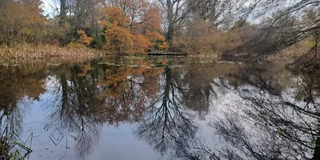 Depicting Landscape in Art – Reflections on the Lake, Henfield (100337035)