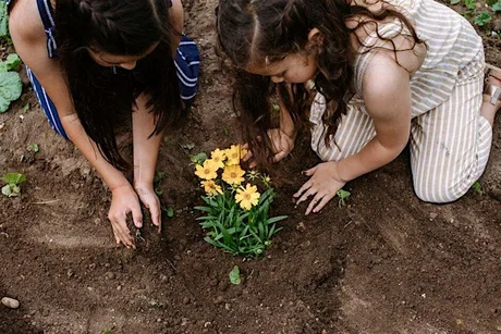 Growing Futures: Inspiring Young People Through Nature