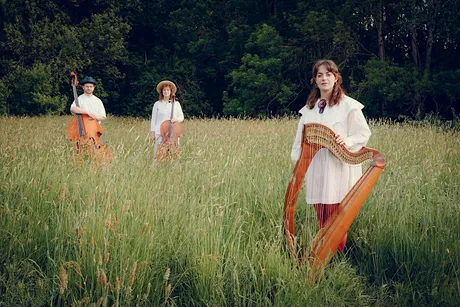 alt-folk @ temperance | Anna McLuckie Trio