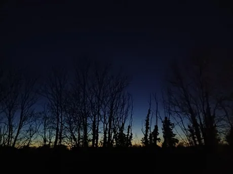 Night walk (Cambourne)