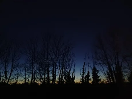 Night walk (Cambourne)