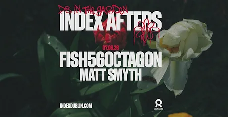 Index D8 Afters: Fish56Octagon