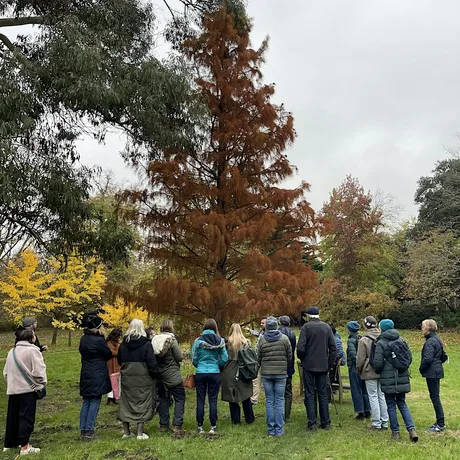 Guided Tree Walk: Cannizaro Park's Diverse Tree Collection