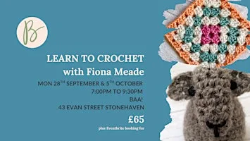 Learn to Crochet: 2 session Monday evening class (Stonehaven)