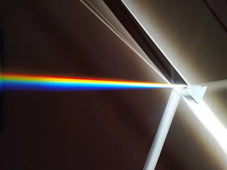 Prism Break (family)
