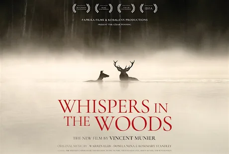 Whispers in the Wood