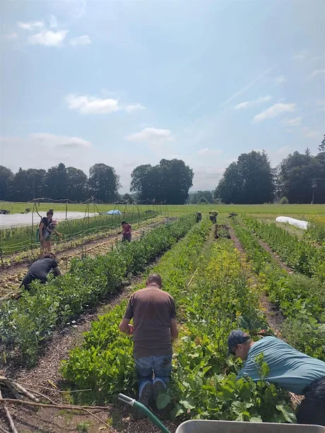 Sustainable Kirriemuir Community Farm Open Day