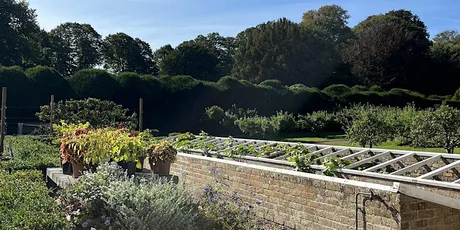 Tuesday Tension Release Yoga at Walmer Castle and Gardens