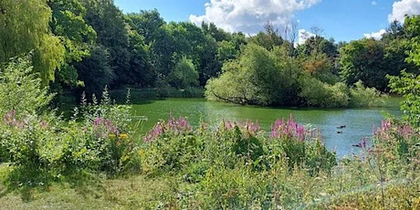 Wellbeing walk for bereaved parents - October session