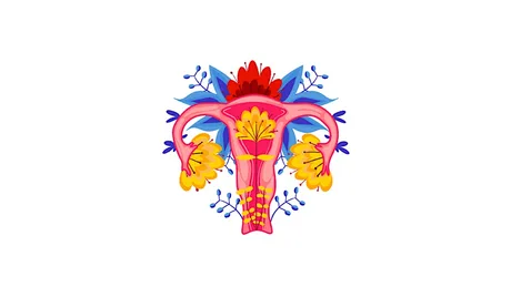 Cycles and Seasons; holistic approaches to female health - 6 week course