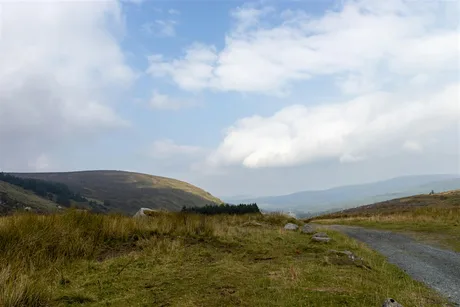 The Camino Walks: Fairy Castle Loop