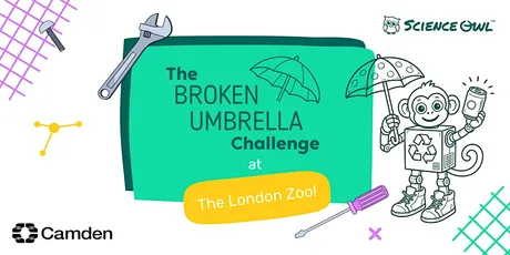Broken Umbrella Challenge Workshop + The London Zoo!