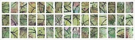 Young Creator's Lab | Art & Science