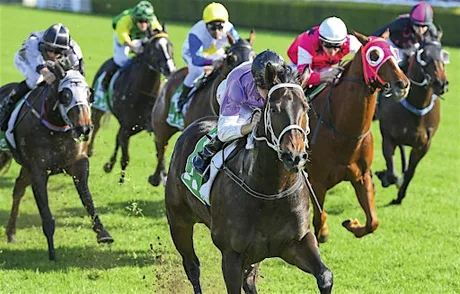 ABCC Race Night