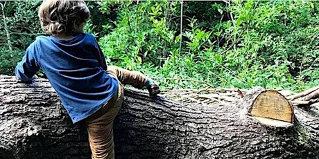 Family Woodland Quest & Adventures at Kingsbury Water Park