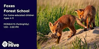 Foxes Forest School (Ages 4-11)- Autumn Term 2026