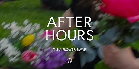 REVISION x After Hours {Rev.08}