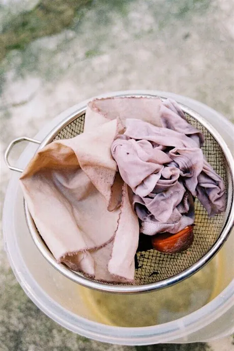 Introduction to Natural Dyes Workshop